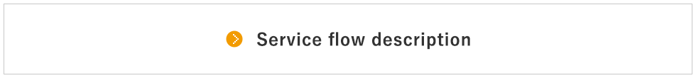Service flow description